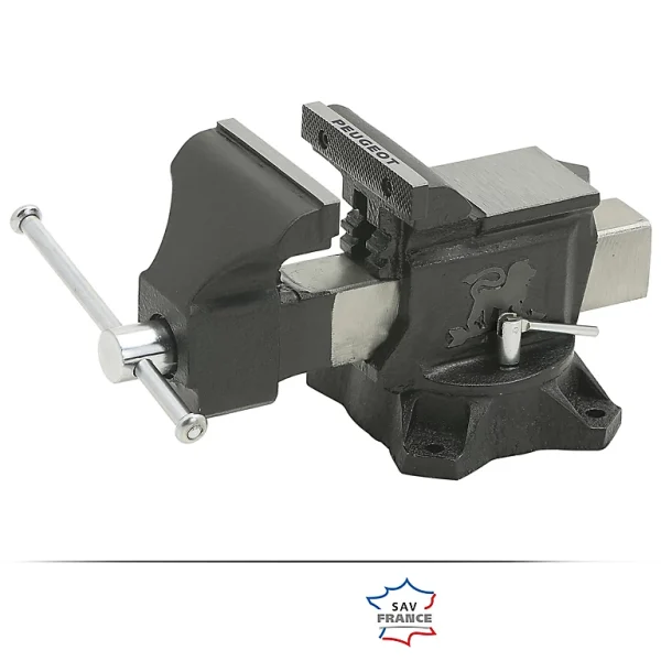 Castorama Etau D’établi Peugeot ETB200 200 Mm prix pas cher 1